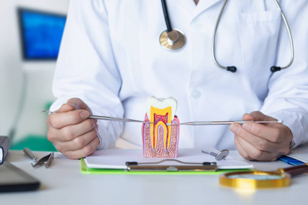 Best Emergency Tooth Extraction in Dresden, OH